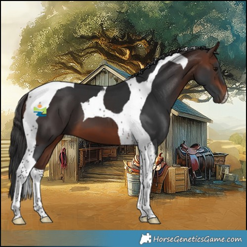 Horse Color:Brown Tobiano
