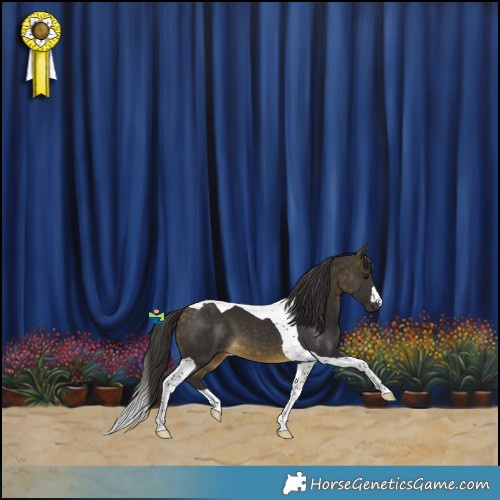 Horse Color:Buckskin Tobiano