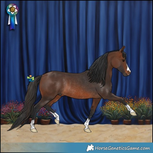 Horse Color:Brown Rabicano
