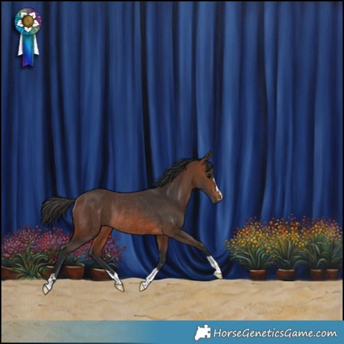 Horse Color:Brown Rabicano 