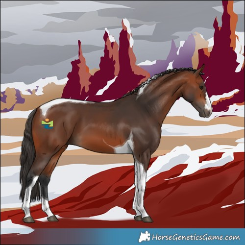Horse Color:Bay Tobiano 