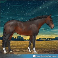 Horse Color:Brown Varnish