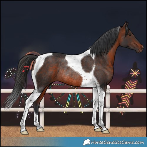Horse Color:Brown Tobiano Rabicano 