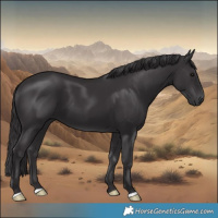 Horse Color:Smoky Black