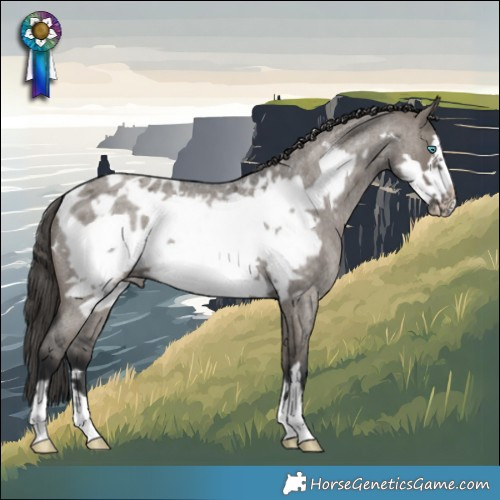 Horse Color:Grullo Roan Frame Blanket