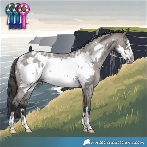 Horse Color:Grullo Roan Frame Blanket 