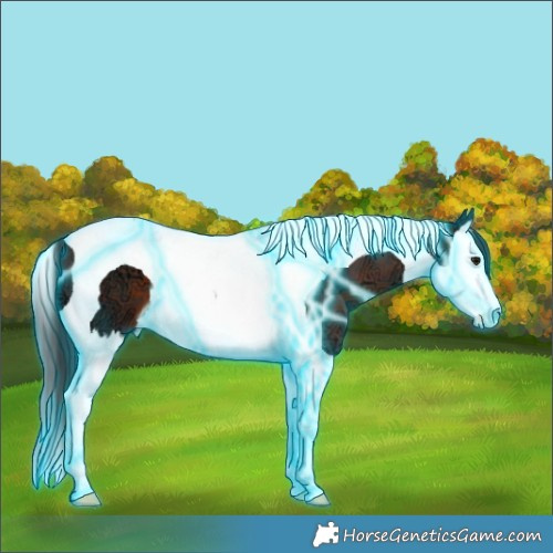 Horse Color:Thunderstruck Brown Ice Splash Tobiano