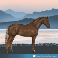 Horse Color:Chocolate Palomino
