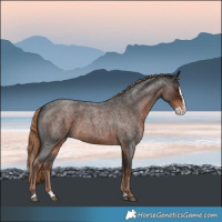Horse Color:Liver Red Roan Splash 