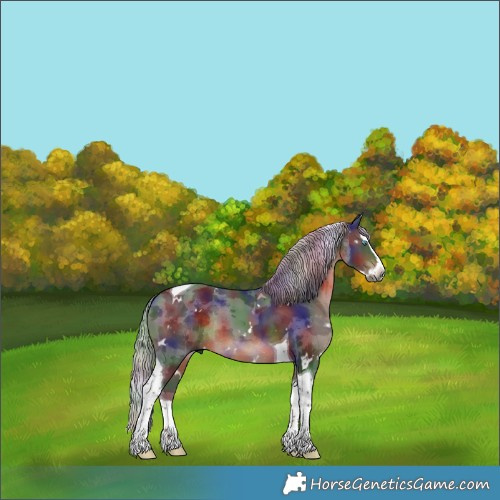 Horse Color:Gray Nacre White Spotted Silver Brown Merle Splash Tobiano Rabicano 
