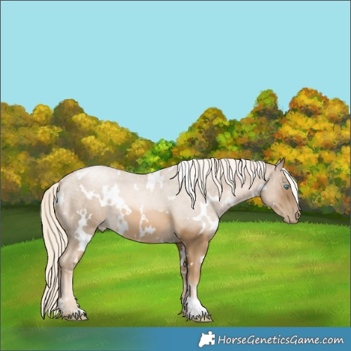 Horse Color:White Spotted Chocolate Palomino Pearl Mushroom