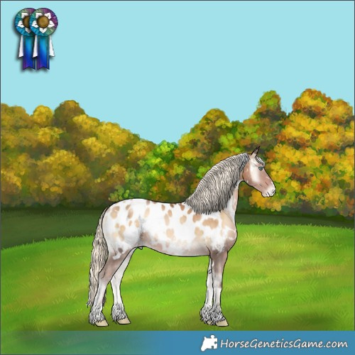 Horse Color:White Spotted Chocolate Palomino Pearl Onyx Appaloosa Rabicano 