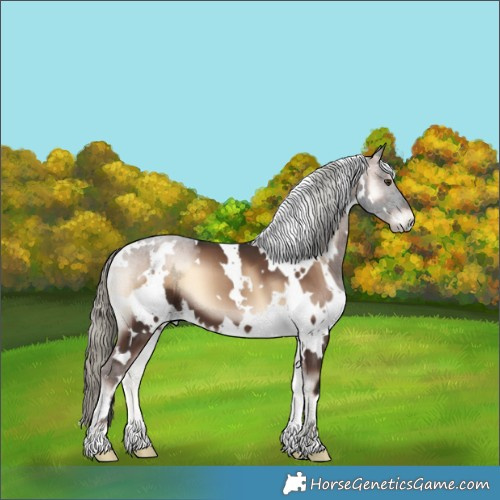 Horse Color:White Spotted Liver Red Onyx Mushroom 