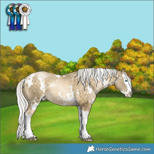 Horse Color:White Spotted Silver Buckskin Pearl Mushroom Splash
