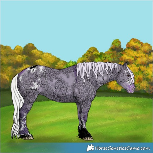 Horse Color:Watercolor Silver Bay Ice Dun Sabino Varnish