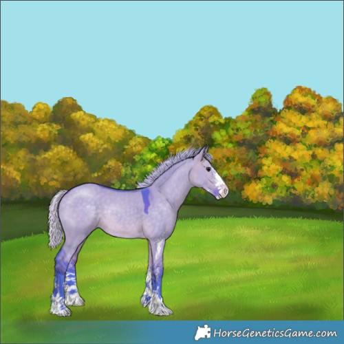Horse Color:Watercolor Silver Brown Dun Sabino 