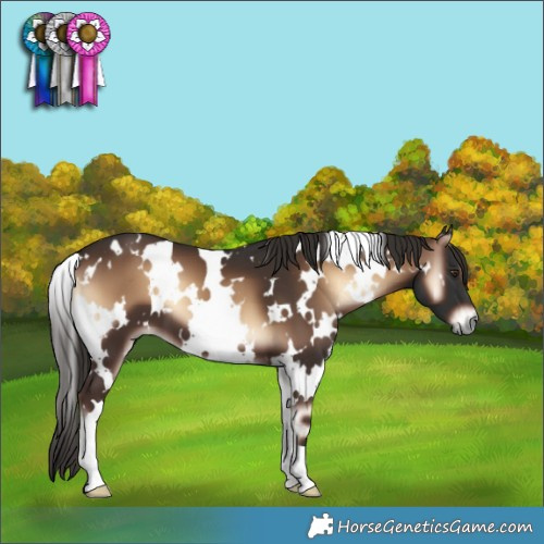 Horse Color:White Spotted Liver Red Onyx 