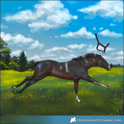 Horse Color:Powder White Brown 