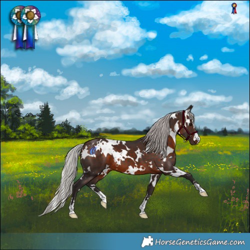 Horse Color:White Spotted Silver Brown 