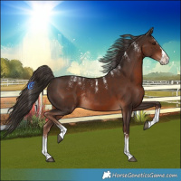 Horse Color:Powder White Liver Chestnut Splash Rabicano 