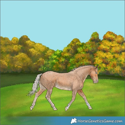 Horse Color:Gray Silver Perlino Tobiano 