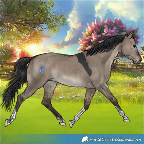 Horse Color:Brown Dun Tobiano