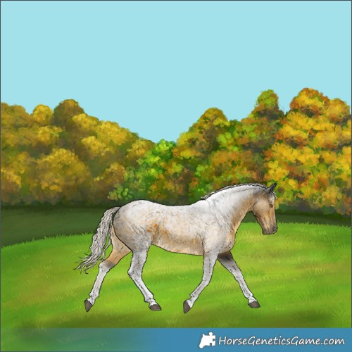 Horse Color:Silver Buckskin Tobiano 