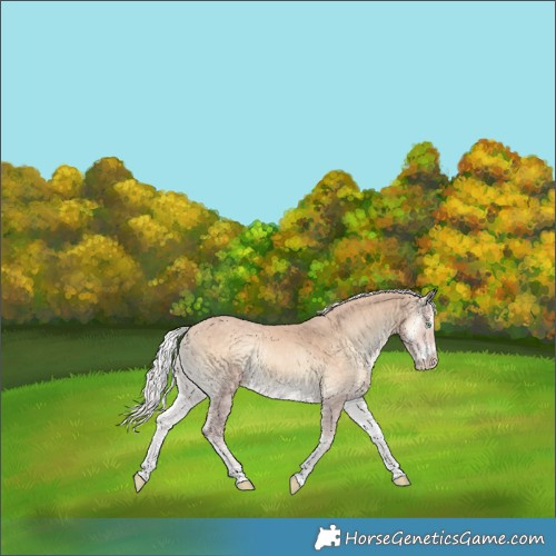 Horse Color:Silver Perlino Onyx Tobiano