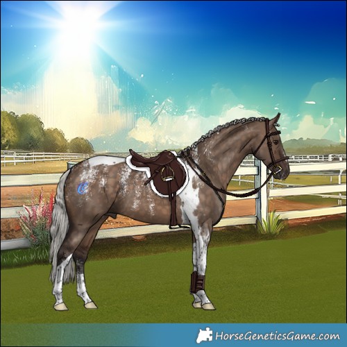 Horse Color:Powder White Silver Brown Dun Tobiano
