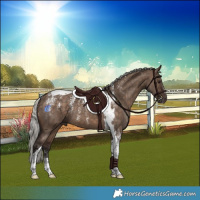 Horse Color:Powder White Silver Brown Dun Tobiano 