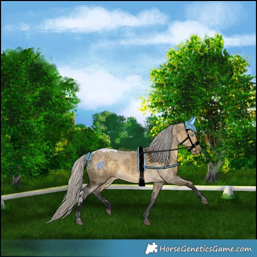 Horse Color:Silver Buckskin Dun Merle 