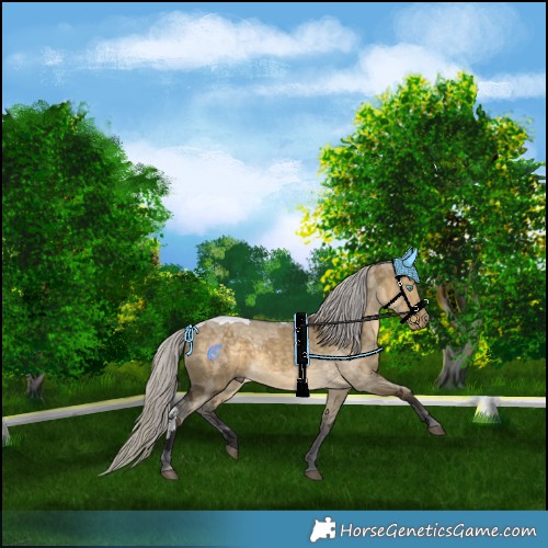 Horse Color:Silver Buckskin Dun Merle 