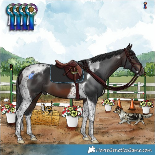 Horse Color:Brown Tobiano 