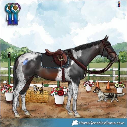Horse Color:Brown Tobiano 