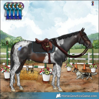 Horse Color:Brown Tobiano