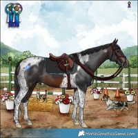 Horse Color:Brown Tobiano 