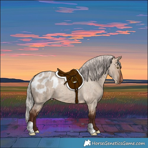 Horse Color:Silver Bay Roan Dun Blanket 