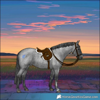 Horse Color:Powder White Blue Roan Merle 