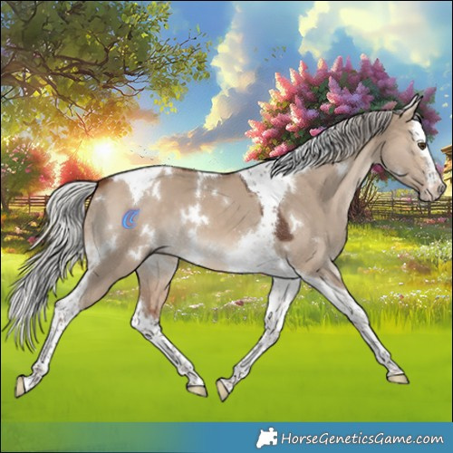 Horse Color:White Spotted Silver Brown Dun Splash Tobiano 