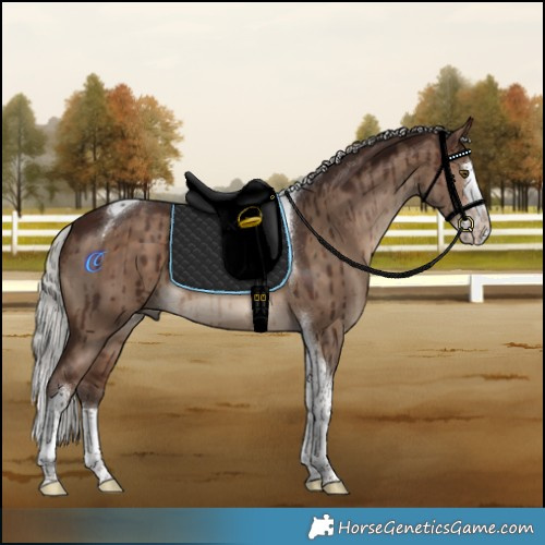 Horse Color:Silver Brown Dun Splash Tobiano Brindle