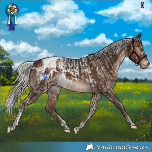 Horse Color:White Spotted Silver Brown Dun Tobiano  and White Spotted Silver Brown Tobiano Appaloosa 