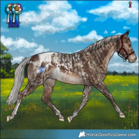 Horse Color:White Spotted Silver Brown Dun Tobiano  and White Spotted Silver Brown Tobiano Blanket 