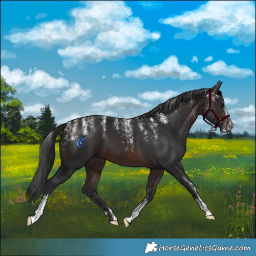 Horse Color:Powder White Brown