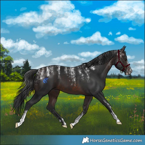 Horse Color:Powder White Brown 