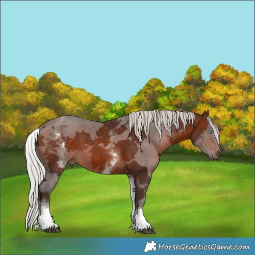 Horse Color:White Spotted Silver Brown Merle Tobiano 