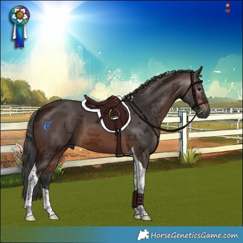Horse Color:Gray Bay Merle Tobiano