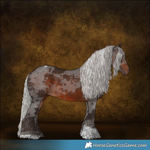 Horse Color:Silver Brown Merle Tobiano 