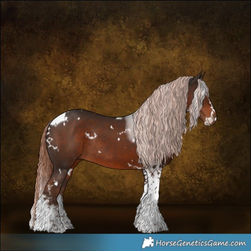 Horse Color:White Spotted Liver Chestnut Splash Tobiano Rabicano 