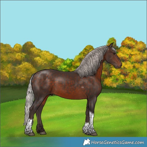 Horse Color:Silver Brown Tobiano