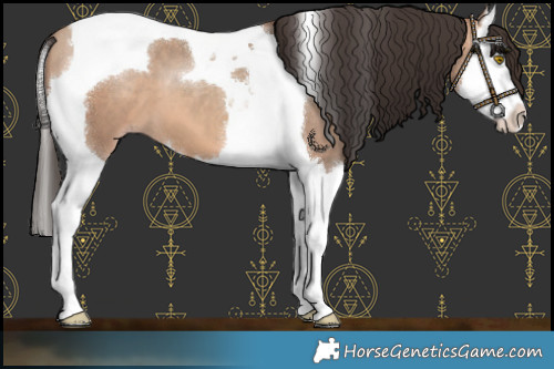 Horse Color:Amber Champagne Splash Tobiano